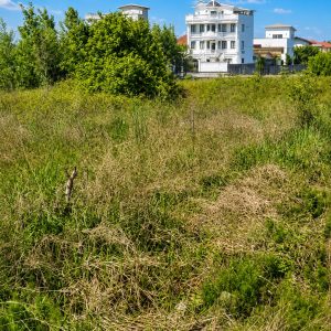فروش زمین 500 متری در نوشهر مازندران | روستای ملکار